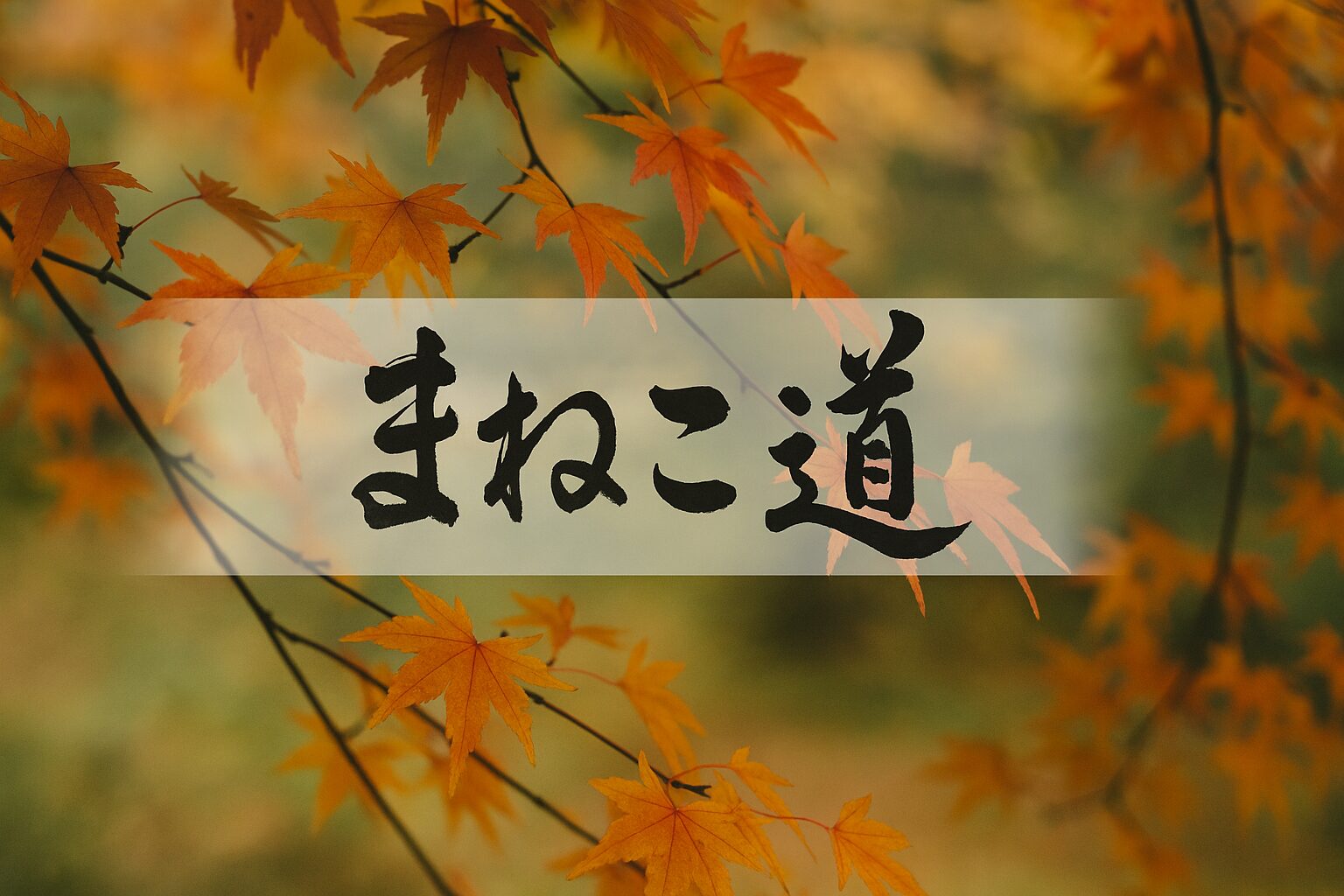 まねこ道｜節約と投資でつくる自由な暮らし